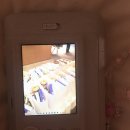 국기로 상상하는 아시아 | [한문화외교사절단] 2025 체코 국경일🇨🇿