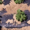 종석농장 이미지