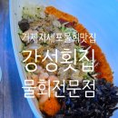 강성횟집 물회전문점 시원한 스페셜 물회 후기
