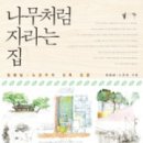 생각이 자라는 나무 이미지