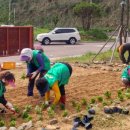 여수이순신대교 이미지