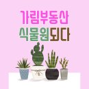 가림공인중개사사무소 이미지