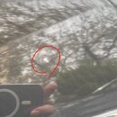 토탈덴트모터스2공장 | 부산 강서구 김해공항 덴트 코나 문콕 복원 후기