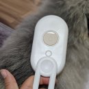 강아지용품 1인반려가구마켓 &#34; 펫드컴퍼니 &#34; 스팀브러쉬, 샴푸브러쉬, 다이어트저울스푼 후기