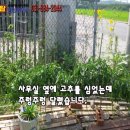 준비된공인중개사사무소 이미지