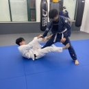 아트 주짓수 레슬링 이미지