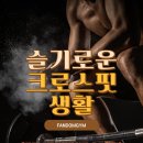 크로스핏팬덤