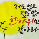 에코스디테일 이미지