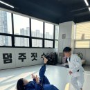 존프랭클 위즈덤 주짓수 이미지