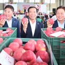 청과물처리장 이미지