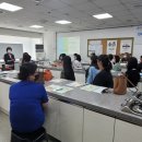 반려동물수제간식창업 이미지