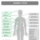 광교윌