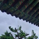 태백산맥길 이미지