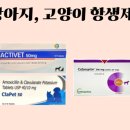 첨단365약국 이미지