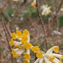 수목농장 이미지