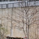 안녕, 멍멍아 이미지