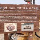 바다산책 이미지