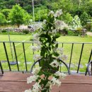 담양 달빛 스테이 이미지