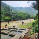 포천펜션 캠핑과 수영장 청정 계곡을 한곳에서! 계곡과소나무펜션 힐링 후기