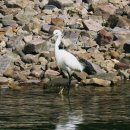 유람선길 이미지