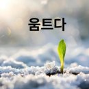 움트 - 해운대구 | 움트