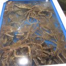 포항죽도어시장 이미지