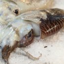 태산수산 이미지