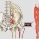 덕은경희한의원 이미지