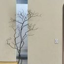 MOMA MOOD (모마무드) 네이버블로그