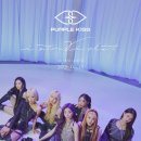 퍼플히트