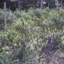 은지가든 이미지