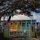 제주 1년 살기 일상[124] ; 더럭초등학교 ~ 송악산 이미지