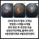 호산부인과의원 이미지