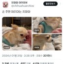 와와 - 영광군 신남로3길 25 | 와와