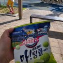 세븐일레븐 신상과자 '마! 새로왔다 팅클 메론맛' 솔직 리뷰