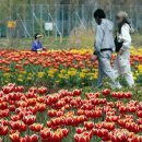 낙동강관리본부 화명생태공원 11 이미지