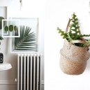 여름식물 인테리어 이미지