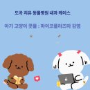 도곡치유동물병원 이미지