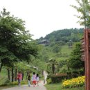 용소유원지 Daum카페