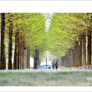 담양주유소 이미지