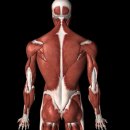 에이블짐 먹골역점 이미지