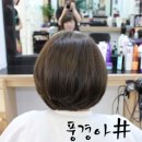 신백로 8길 네이버블로그