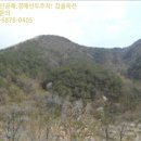 내서읍512 이미지