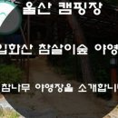 입화산 참살이숲 제2오토야영장 이미지