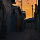 장미여인숙 이미지