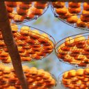 현화농장 이미지