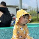 고산어린이공원 네이버블로그