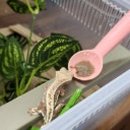 감성족발구미점 이미지