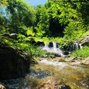 강릉외갓집 이미지