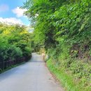 운문산자연휴양림 이미지